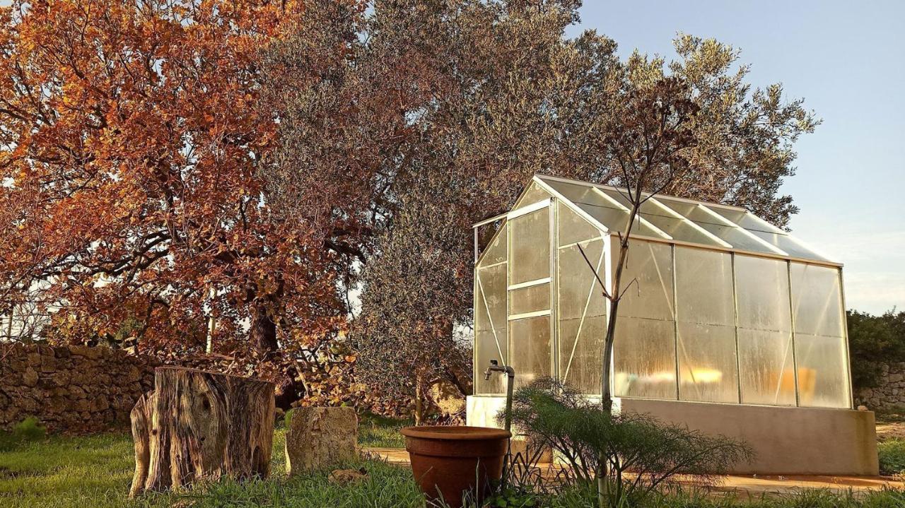 Masseria Lojazzo Челье-Мессапика Экстерьер фото